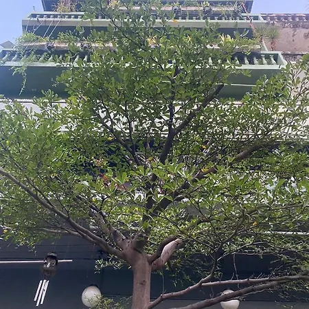 Nesuto Hostel&Cafe Ramkamhaeng 52